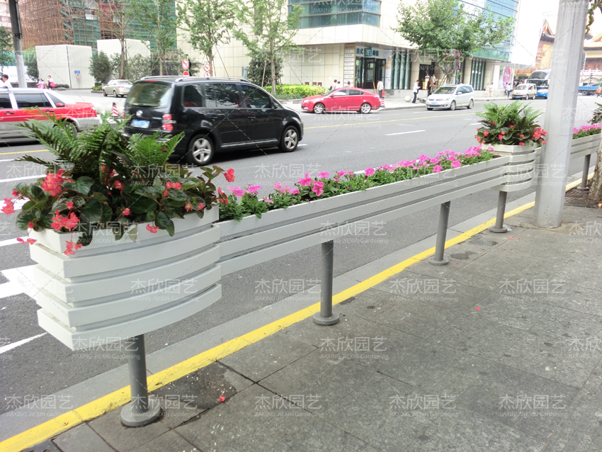 花箱適合種什么植物？