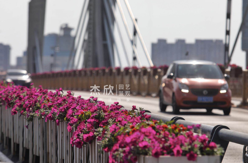 花箱尺寸如何確定？